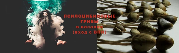 наркотики Алексин