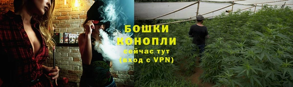 героин Пересвет