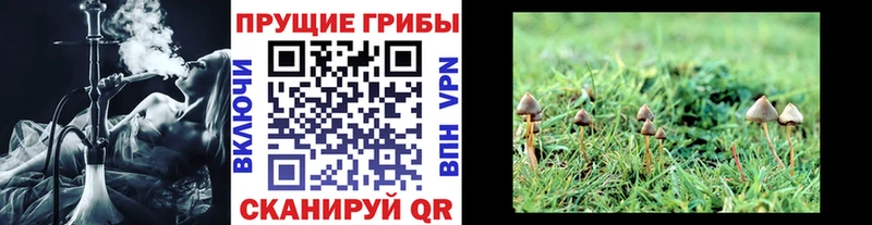 Псилоцибиновые грибы мухоморы  Кирс 